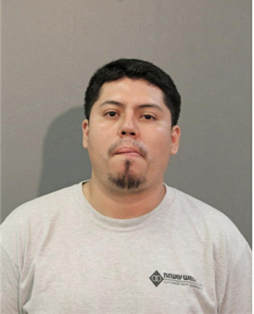 IVAN SOTELO, Cook County, Illinois