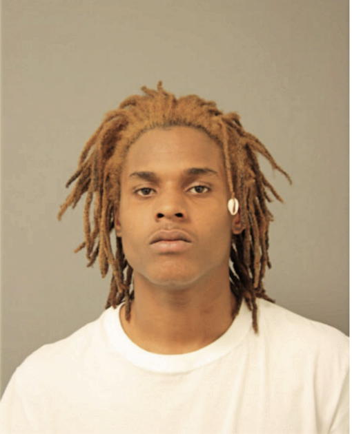 CHARLES S THURMAN, Cook County, Illinois