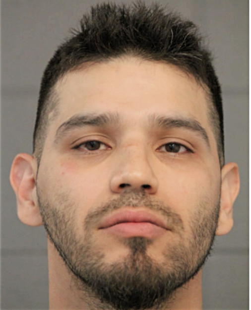 ERIC A VARGAS, Cook County, Illinois