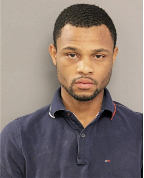 MYCHIRE PJ WHITE, Cook County, Illinois