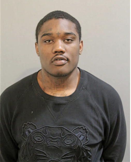 JOHNNY S ANDERSON, Cook County, Illinois