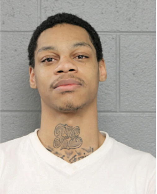 DONYELL A AUSTIN, Cook County, Illinois
