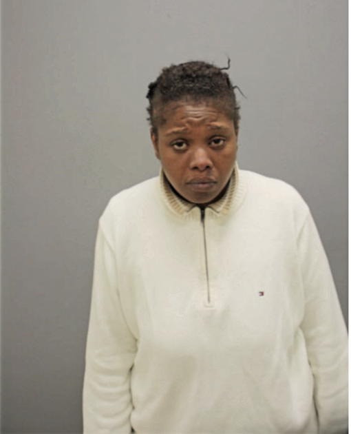 TIFFANY N HOLCOMB, Cook County, Illinois