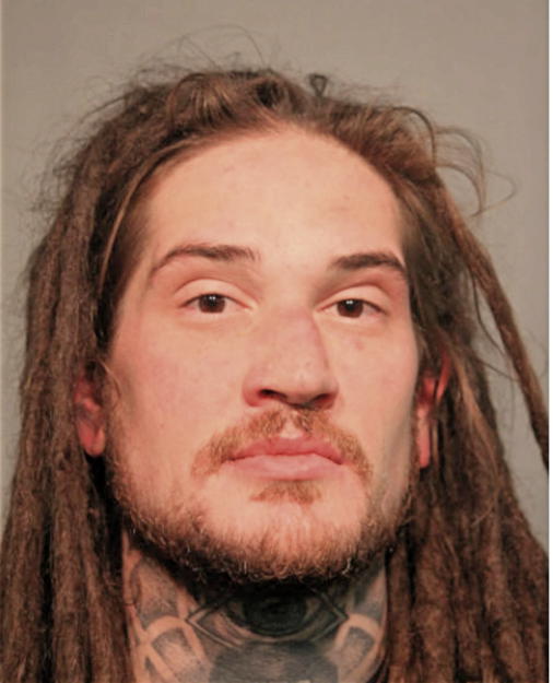 ANDREW A LEWIS, Cook County, Illinois