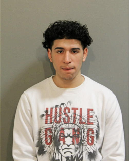 HENRY J MORENO, Cook County, Illinois