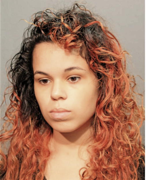 BRITTNEY N NEUMANN, Cook County, Illinois