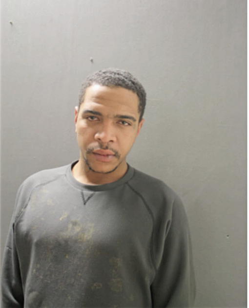 DAMON N PARKER, Cook County, Illinois