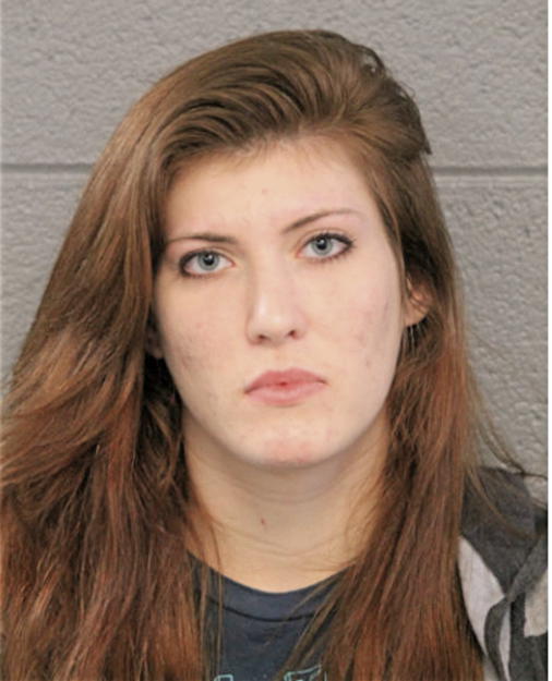 ELISABETH A PLANTE, Cook County, Illinois