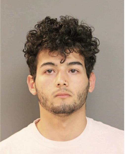 MISAEL Z REILLO, Cook County, Illinois