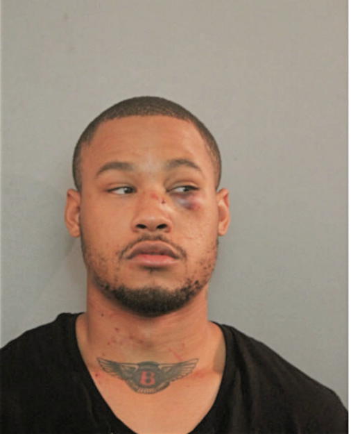 LANELL LEE SIMMONS, Cook County, Illinois