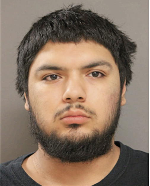 ESTEBAN R TORRES, Cook County, Illinois