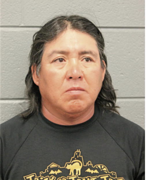 GERMAN ALARCON, Cook County, Illinois