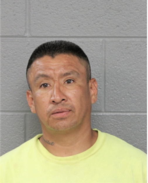 FRANCISCO L ALONSO, Cook County, Illinois