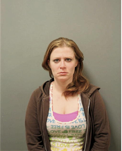 HEATHER A ARNOLD, Cook County, Illinois