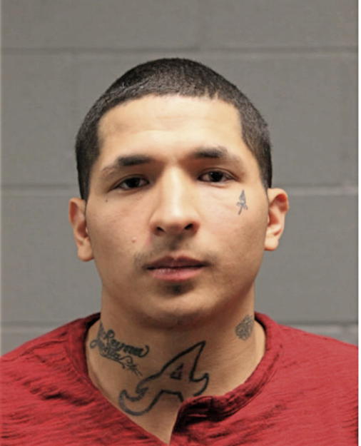 RICOO F CARRASCO, Cook County, Illinois