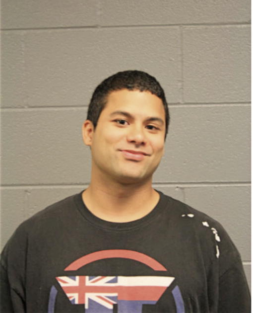 JOSE E DILDINE, Cook County, Illinois