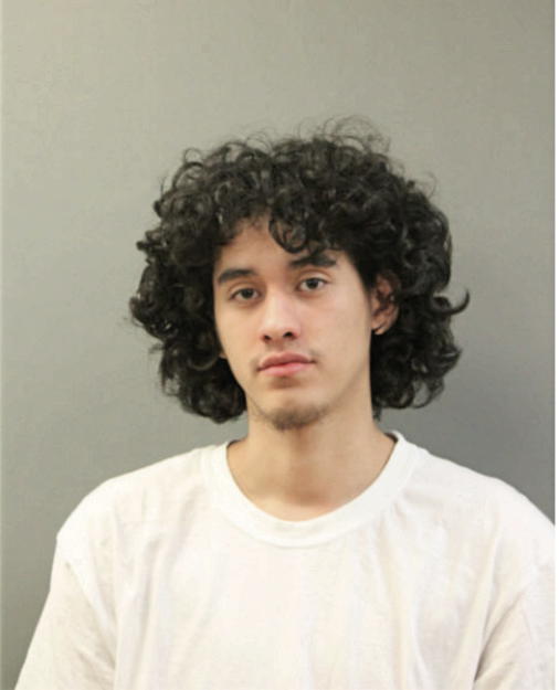 CHRISTOPHER GALEANA, Cook County, Illinois
