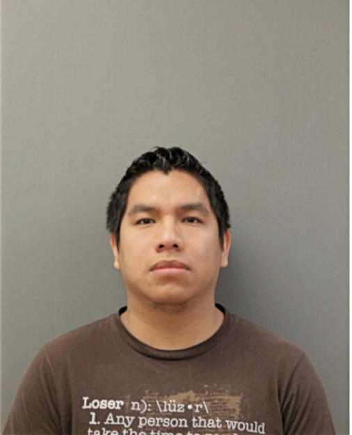 NESTOR D GONZALEZ, Cook County, Illinois