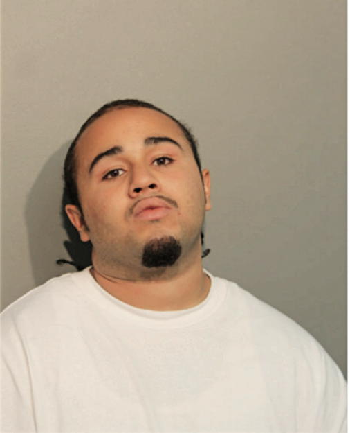 RANDALL E HURT, Cook County, Illinois