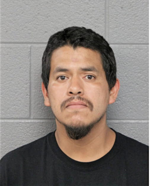 JOSE ISABEL, Cook County, Illinois
