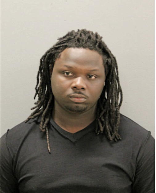 DIONTE J JOHNSON, Cook County, Illinois