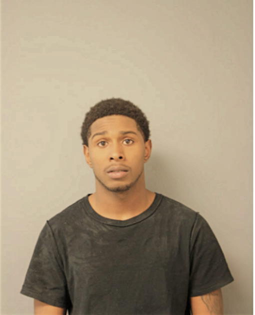 THEODORE D JONES, Cook County, Illinois