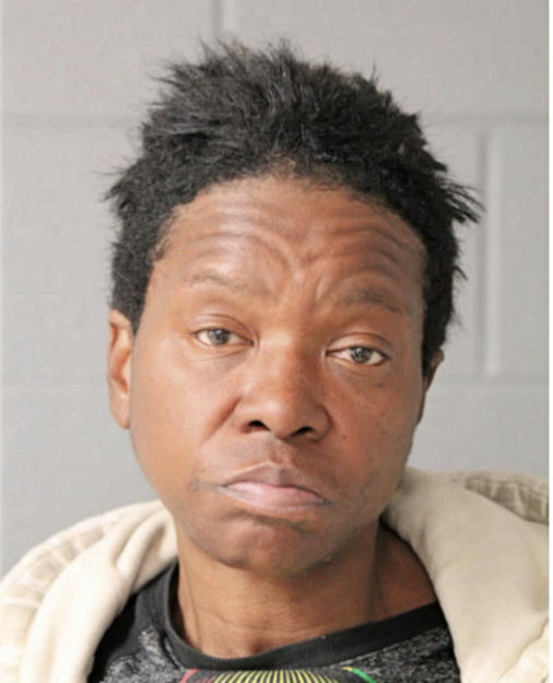 VIVIAN D KING, Cook County, Illinois