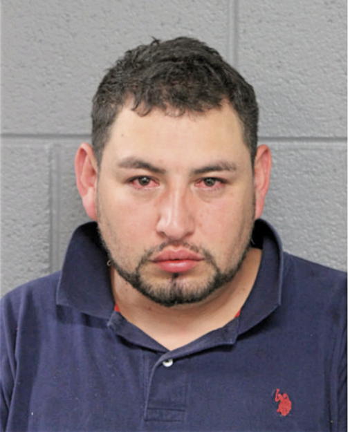 FELIPE LANDA, Cook County, Illinois
