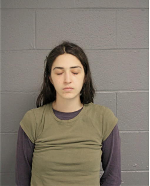 LAURA E LAUBER, Cook County, Illinois