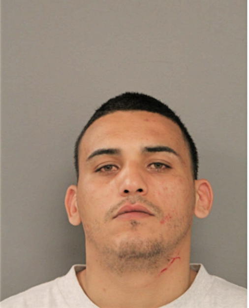 LUIS Y ORTIZ, Cook County, Illinois