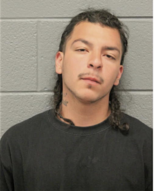 MICHAEL A PADILLA, Cook County, Illinois