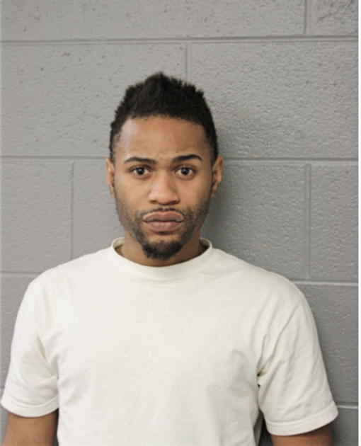STEFFON L ROBINSON, Cook County, Illinois