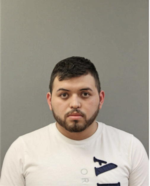 BRANDON A SORIANO LUNA, Cook County, Illinois