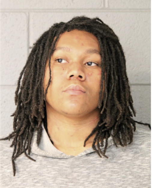 MICHAEL M THOMAS, Cook County, Illinois