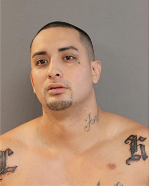 FRANCISCO J VILLAGOMEZ, Cook County, Illinois