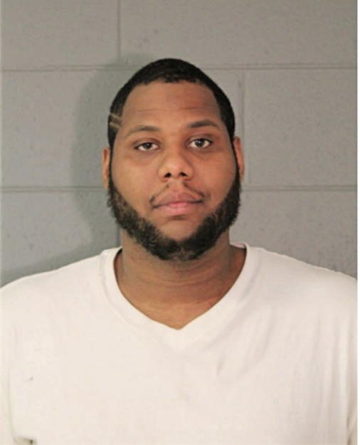 BRIAN M WILLIAMS, Cook County, Illinois