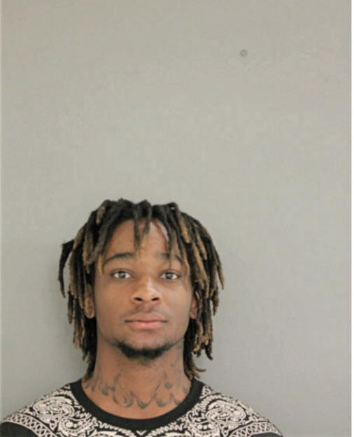 HOWARD E WILLIAMS, Cook County, Illinois
