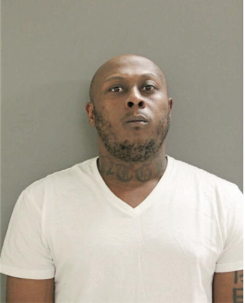 MICHAEL J WILLIAMS, Cook County, Illinois