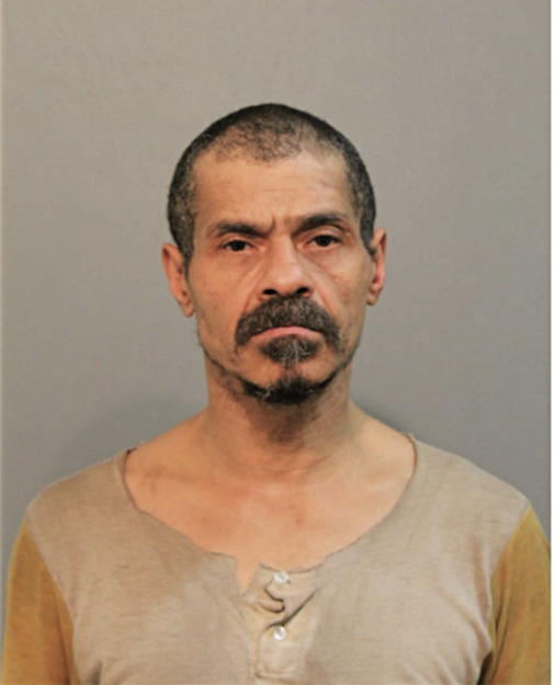 JAMES E WISEMAN, Cook County, Illinois
