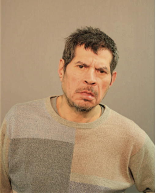 MICHAEL E ALVARADO, Cook County, Illinois