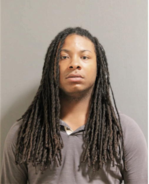 DE LEONE AMIR FISHER, Cook County, Illinois
