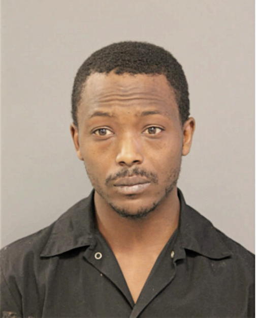 LUTONYOS J BEDFORD, Cook County, Illinois
