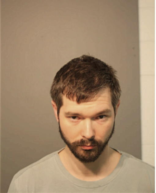 RYAN J BRAUND, Cook County, Illinois