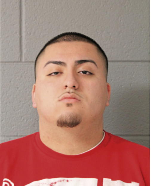 CARLOS CARDOZA-GONZALEZ, Cook County, Illinois