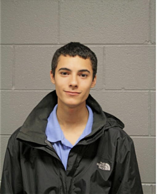 ALEJANDRO DIAZ, Cook County, Illinois