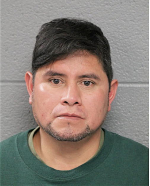 ISRAEL DOMINGUEZ-BANDA, Cook County, Illinois