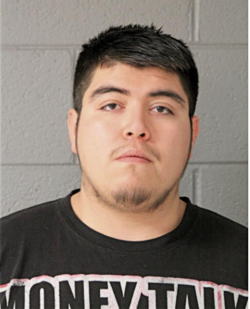 DANIEL E MENDOZA, Cook County, Illinois