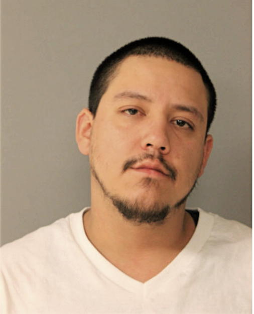 RICARDO FLORES, Cook County, Illinois