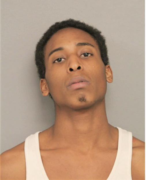 RONALD S GREEN, Cook County, Illinois