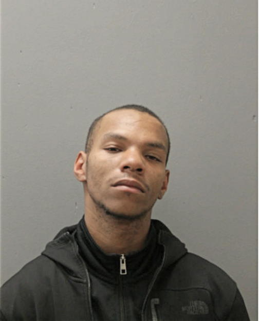 ASHLEY J JAMISON, Cook County, Illinois
